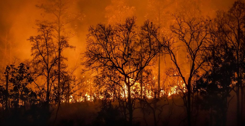 A Violent Wildfire Season in the West | Viewpoints Radio