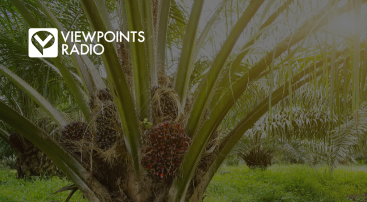21-24 Segment 1: The Environmental Effects Of Staggering Palm Oil Production